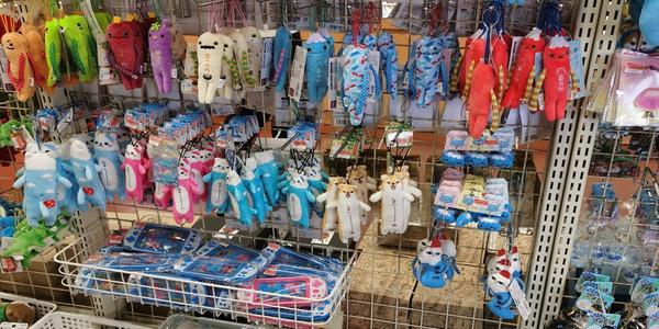 Exploring Japan's Market: A Journey to Enhance Our Furry Companion Offerings