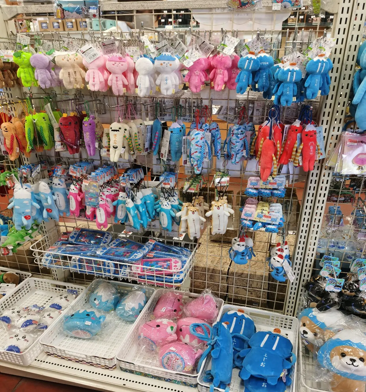 Exploring Japan's Market: A Journey to Enhance Our Furry Companion Offerings